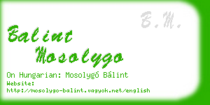 balint mosolygo business card
