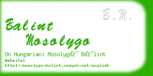 balint mosolygo business card